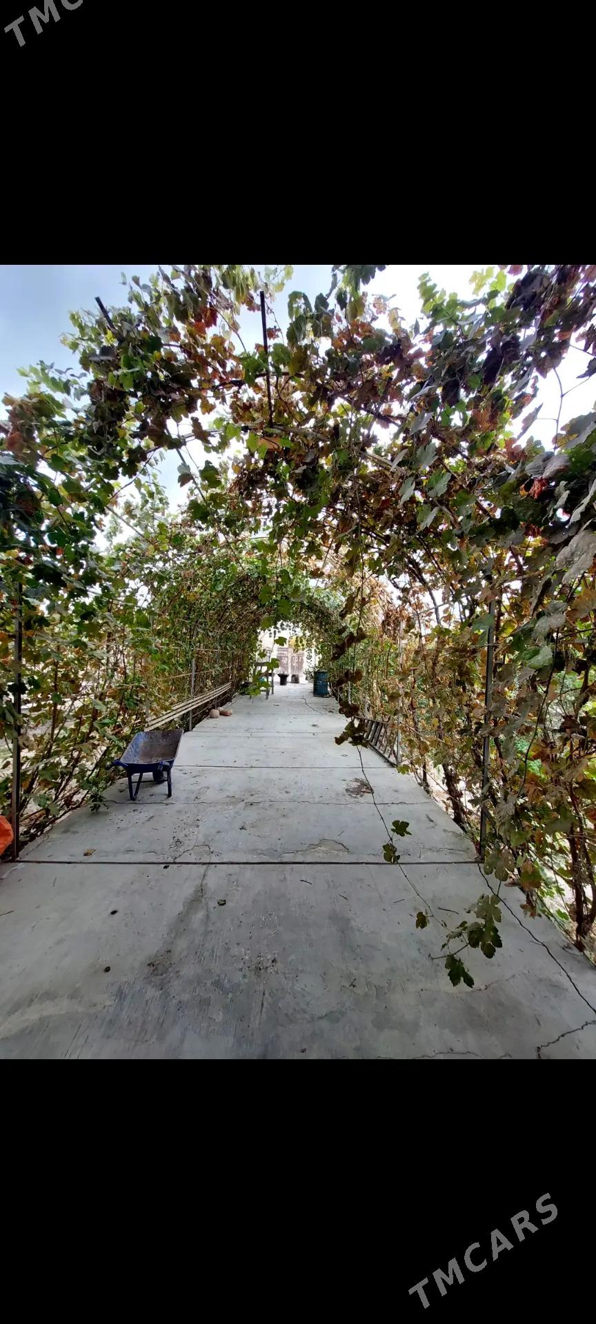 Bag  Yolka kesyan - Дашогуз - img 6