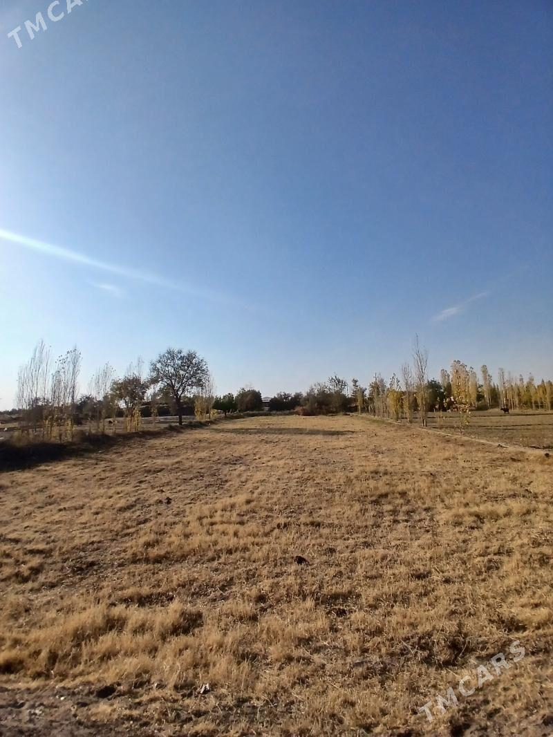 jaý satylýar - Gubadag - img 3