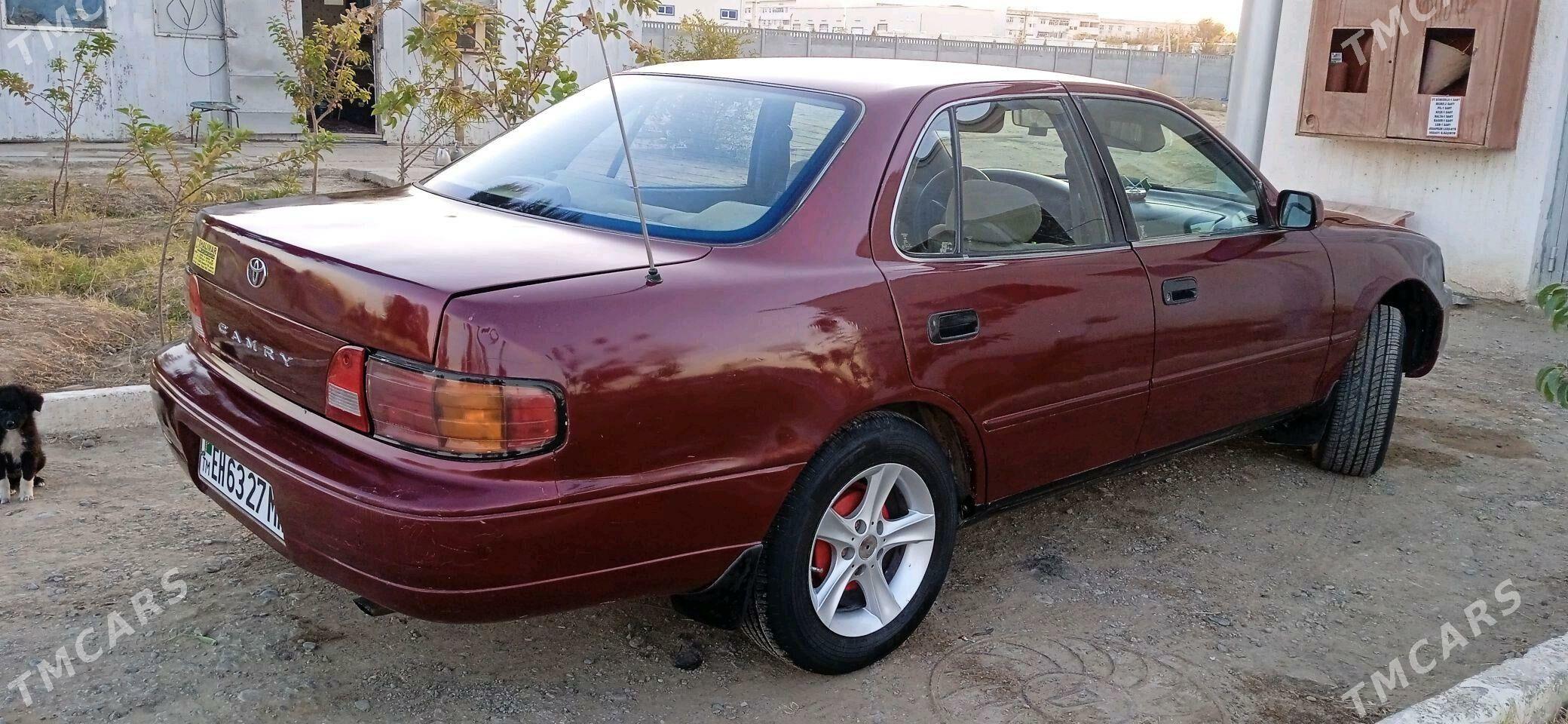 Toyota Camry 1995 - 85 000 TMT - Sakarçäge - img 8