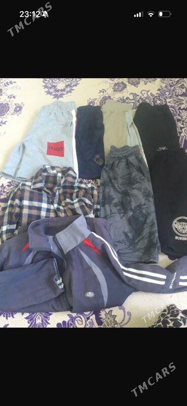 eshikler - Gurtly - img 7