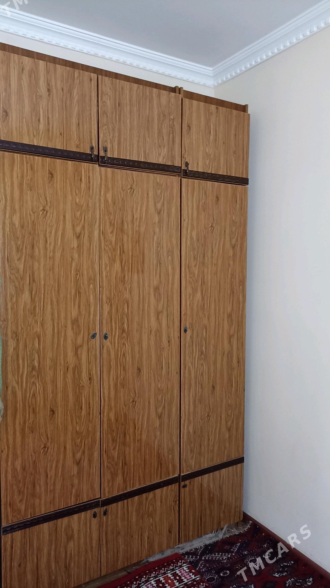 stenka - Kaka - img 2