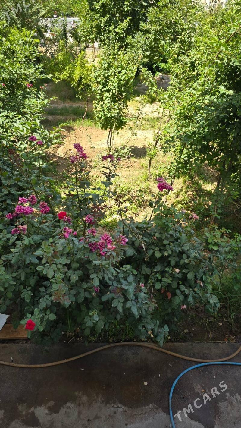 Гаудан А, 3 комнаты - Гаудан "А" - img 3