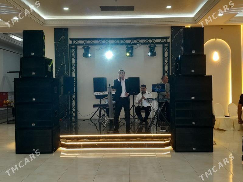 dynacord kalonka - Mary - img 2