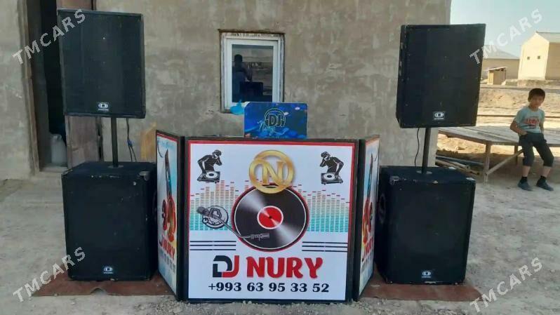 dynacord kalonka - Mary - img 3