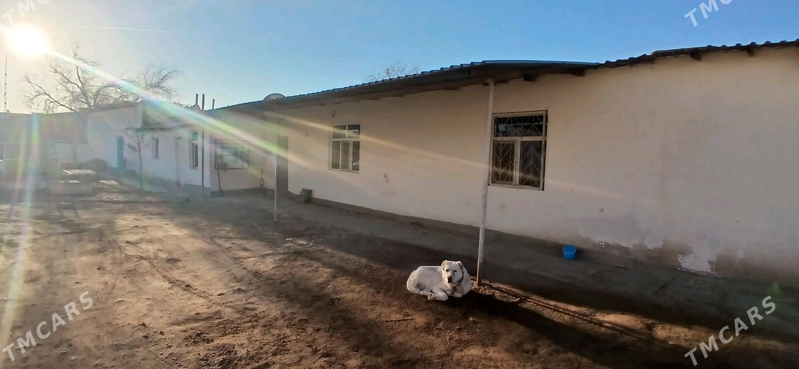 частная недвижимость - Дашогуз - img 2