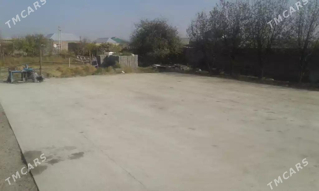 jay howly sentir köşe - Bäherden - img 2