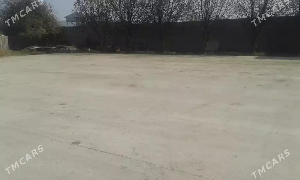 jay howly sentir köşe - Bäherden - img 4