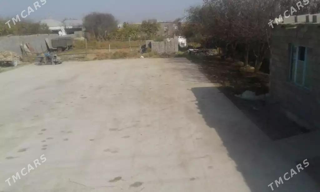 jay howly sentir köşe - Bäherden - img 3