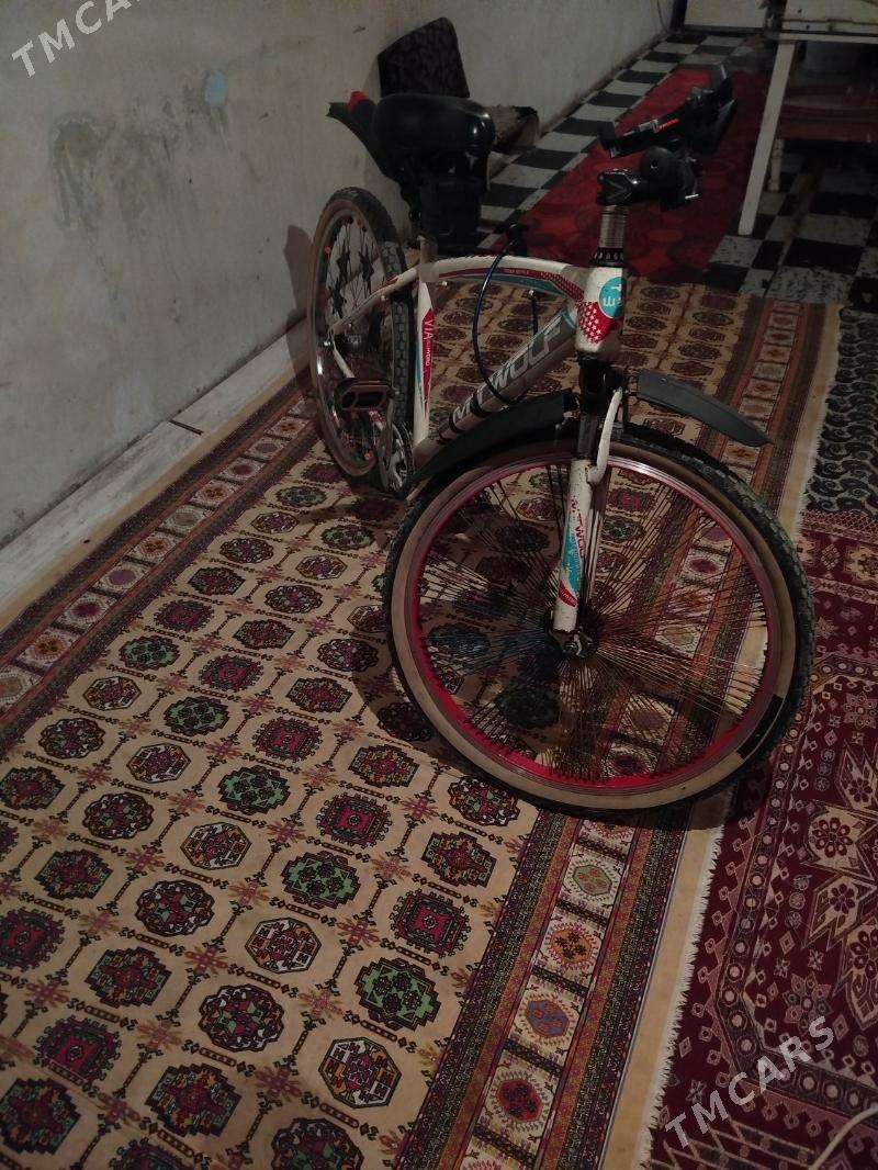 Welsoped Tigir - Теджен - img 2