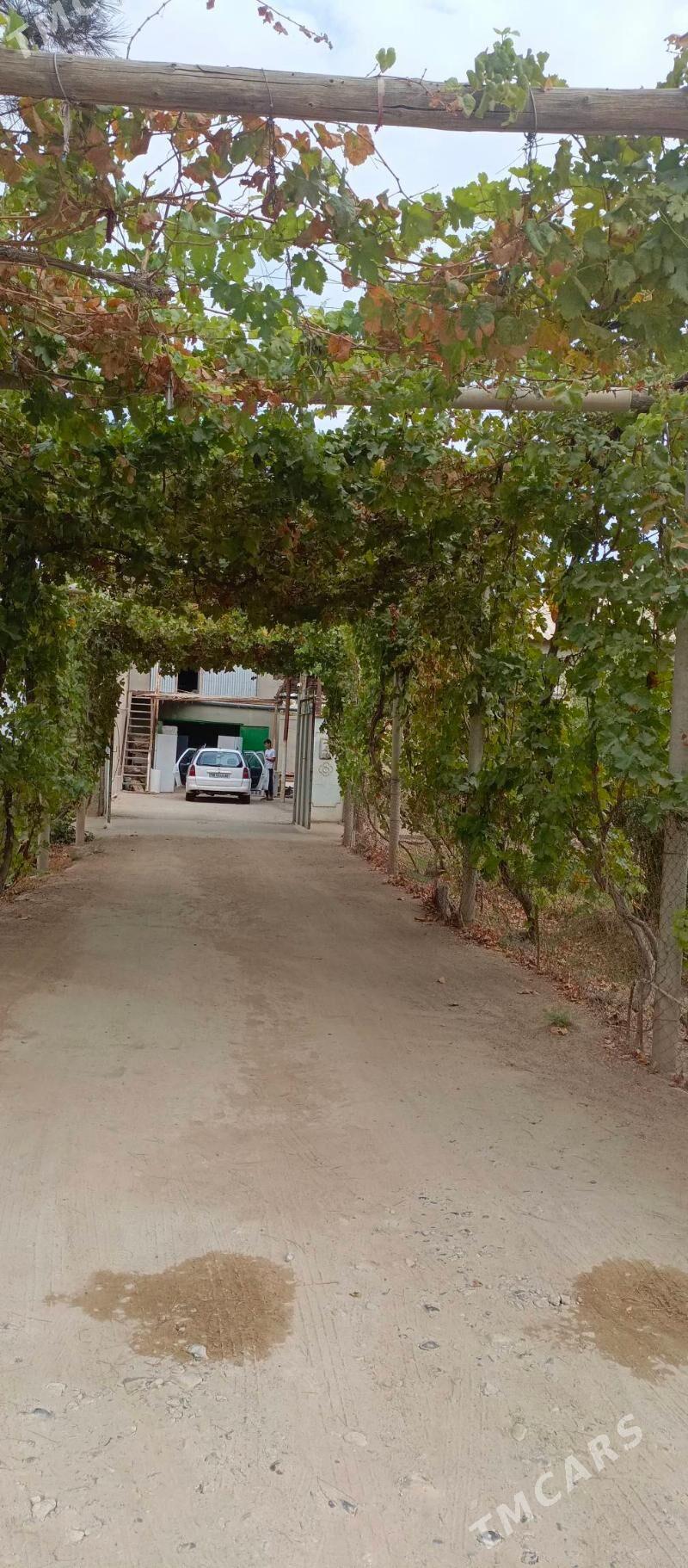 TEJEN Satlyk plan  jaÿ - Tejen - img 6