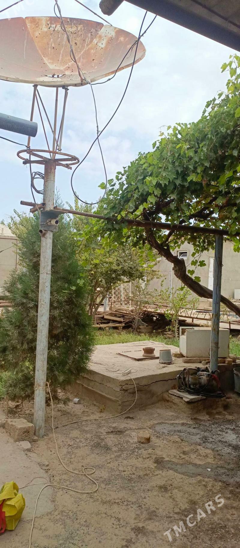 TEJEN Satlyk plan  jaÿ - Tejen - img 4