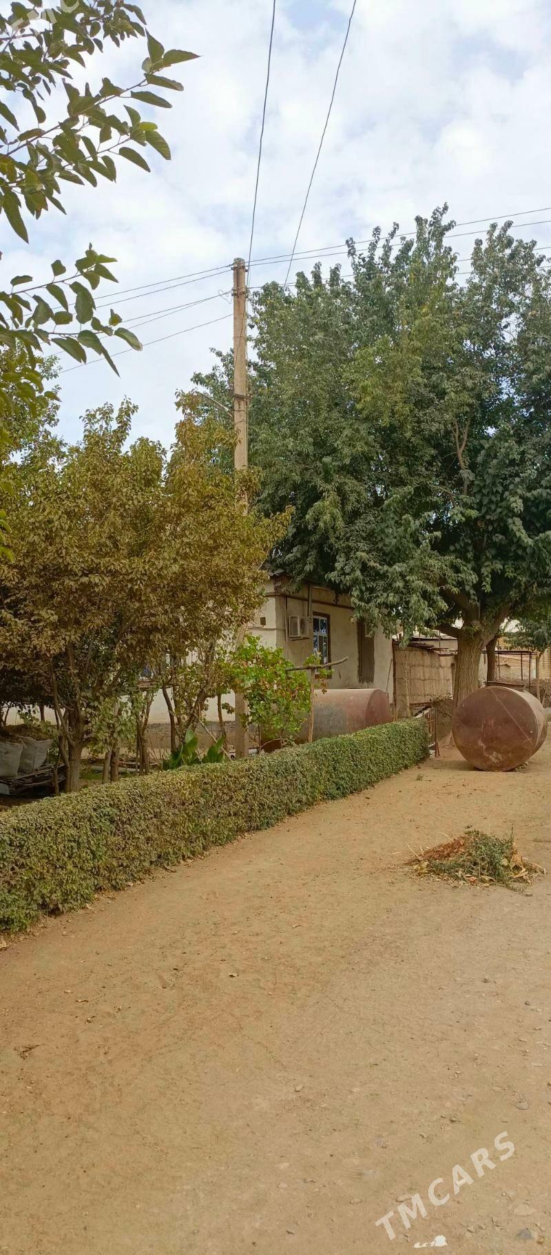 TEJEN Satlyk plan  jaÿ - Tejen - img 2