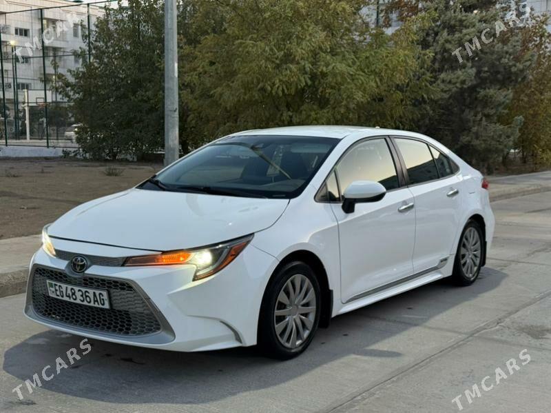 Toyota Corolla 2020 - 205 000 TMT - Ашхабад - img 2