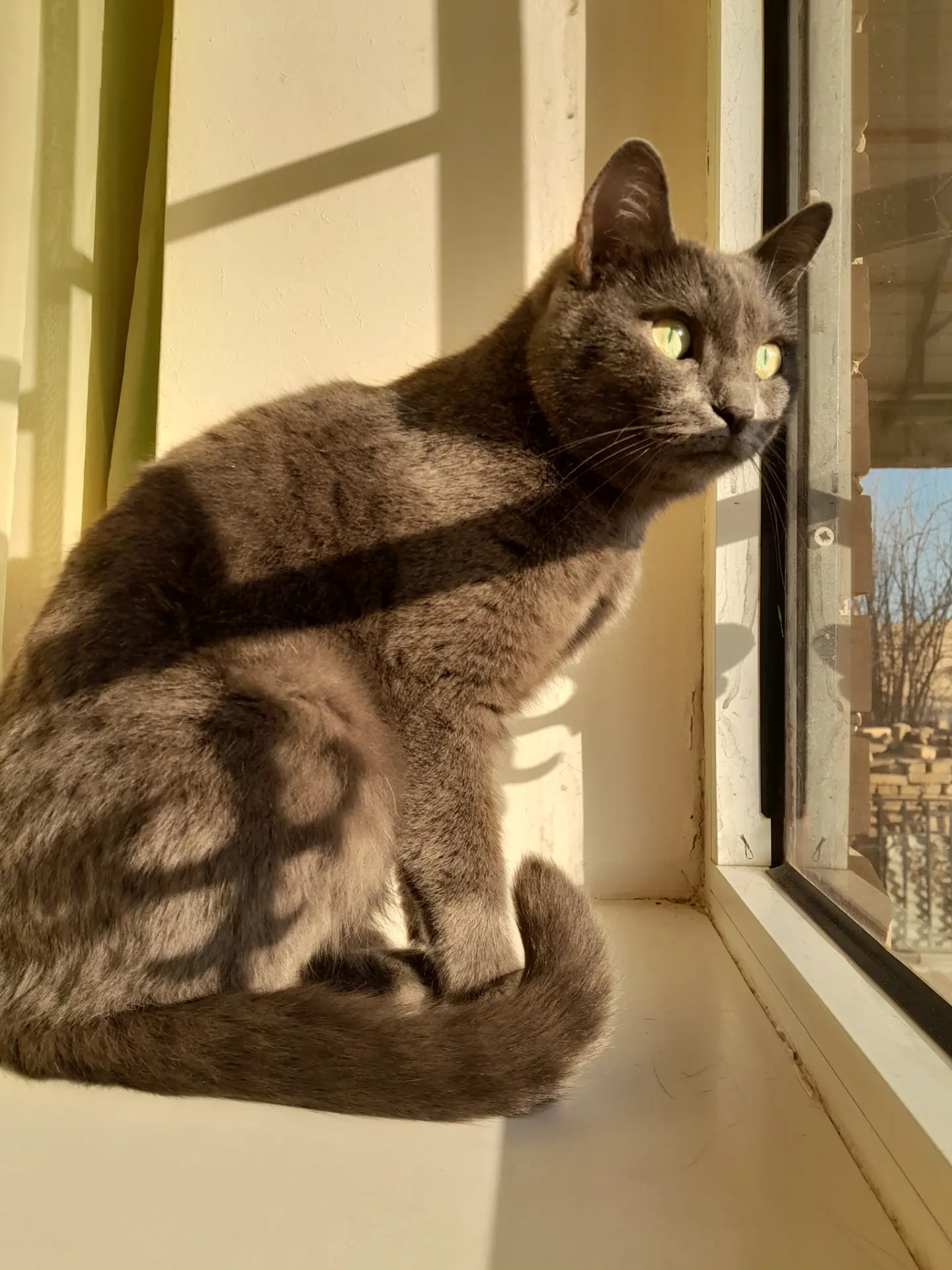 yitirdik - Туркменабат - img 2