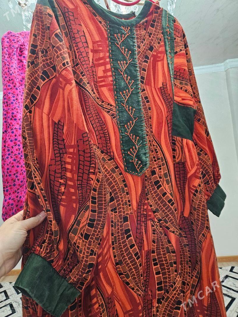 Koynek - Кëши - img 2