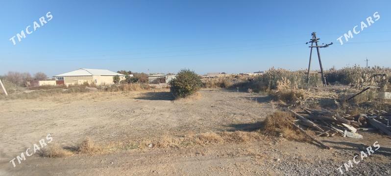 karamiyaz daca sygyr ferma. - Туркменабат - img 5