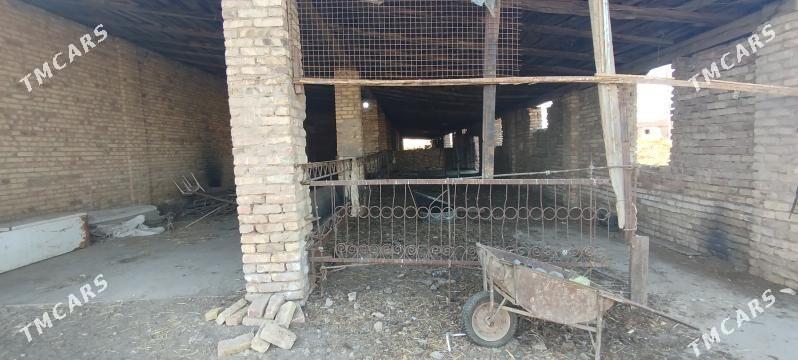 karamiyaz daca sygyr ferma. - Туркменабат - img 1