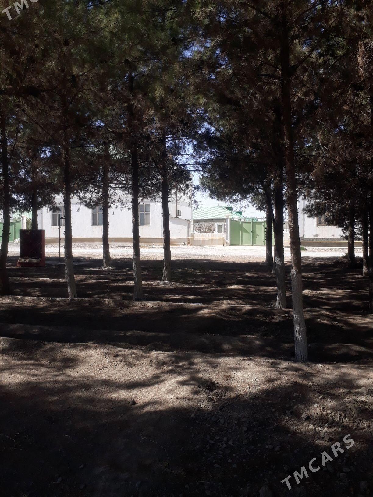 GÖKDEPE SATLYK KATEŽ - Gökdepe - img 2