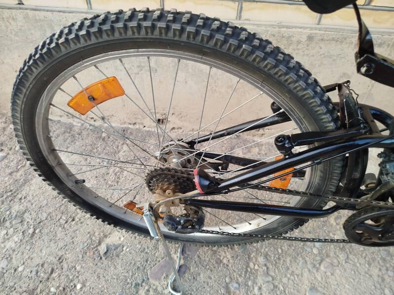 welik ametsator - Сакарчага - img 2