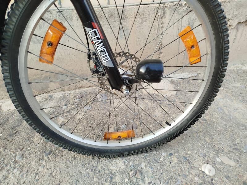 welik ametsator - Сакарчага - img 3