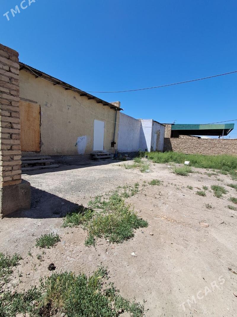 Çärjew etrabynyň Zerger geňeş - Türkmenabat - img 3