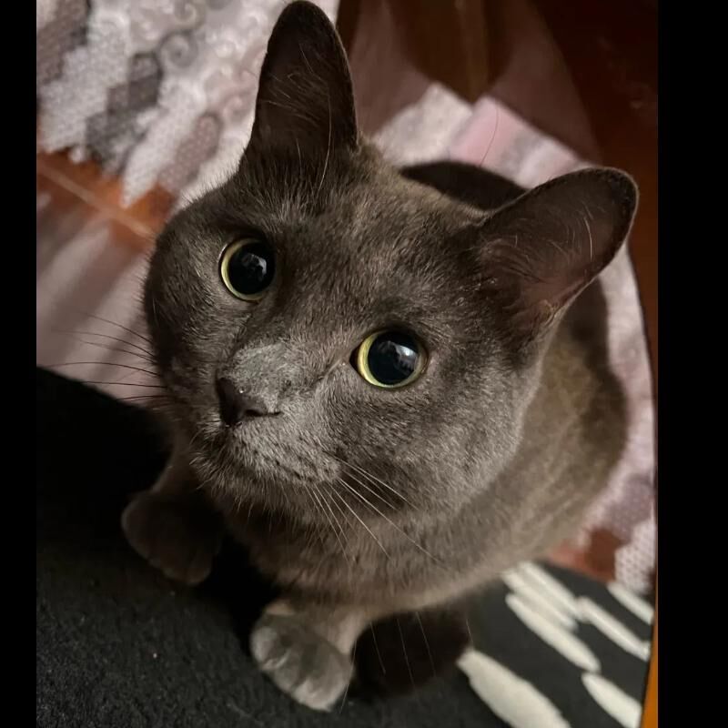 yitirdik - Туркменабат - img 3