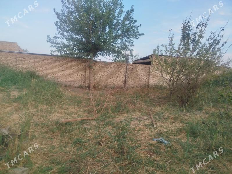 продается дача - Türkmenabat - img 1