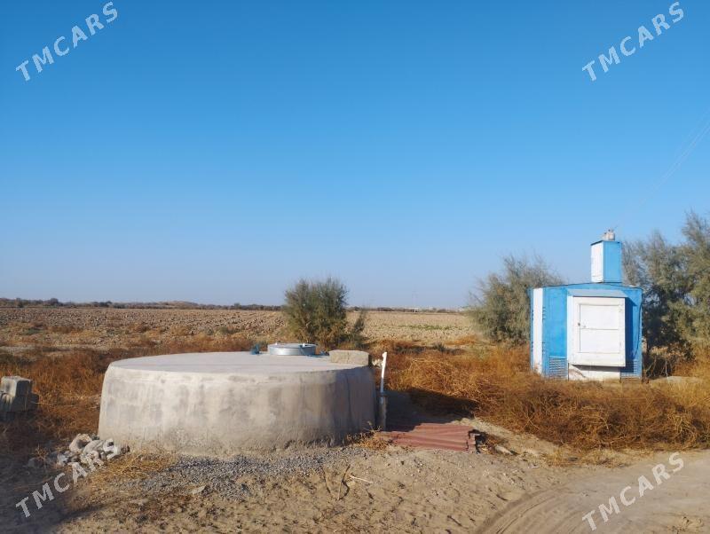 Köliñ gapdaly 15 gektar ýer - Гёкдепе - img 2