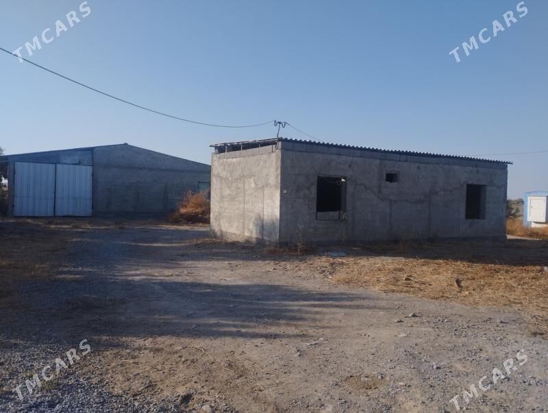 Köliñ gapdaly 15 gektar ýer - Гёкдепе - img 4