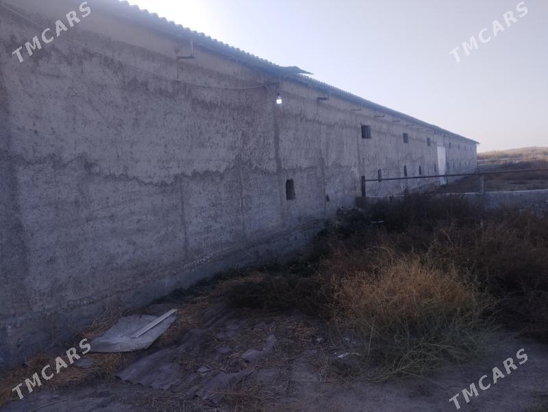 Köliñ gapdaly 15 gektar ýer - Гёкдепе - img 5