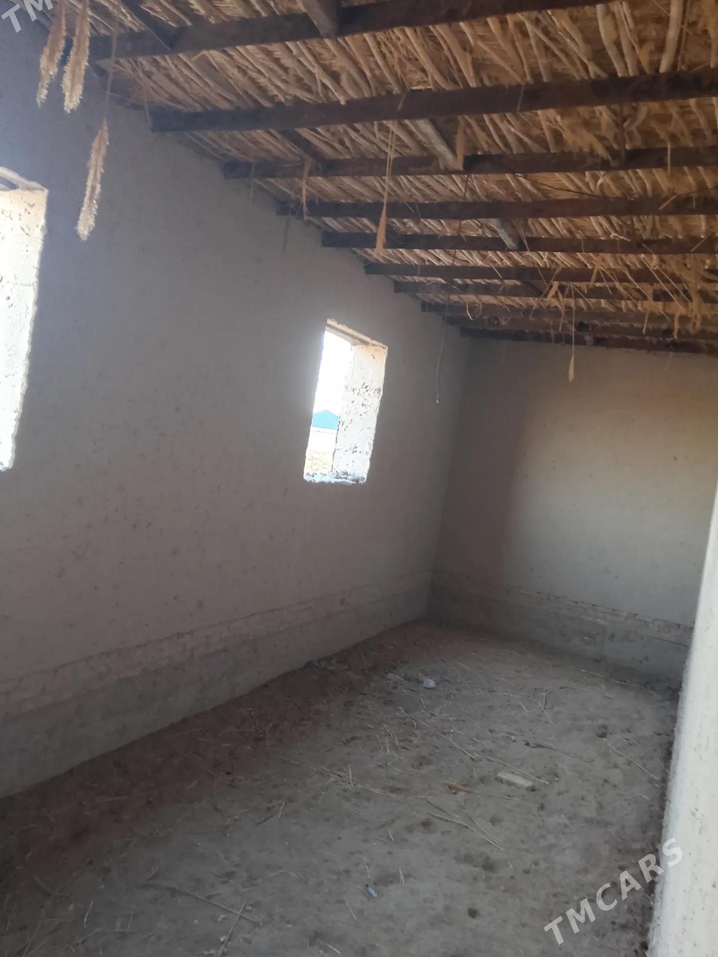 jay - Кёнеургенч - img 4