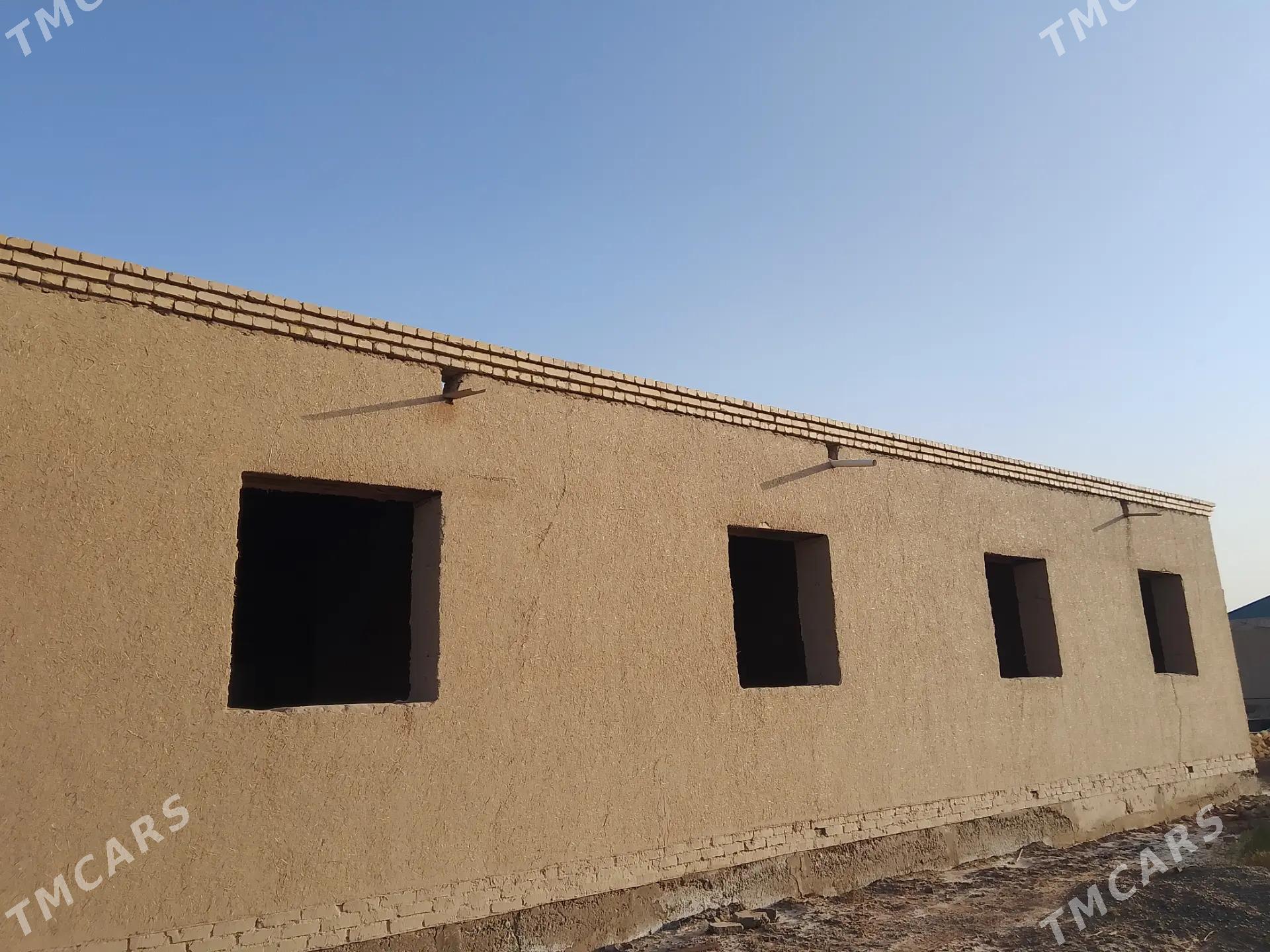 jay - Кёнеургенч - img 1