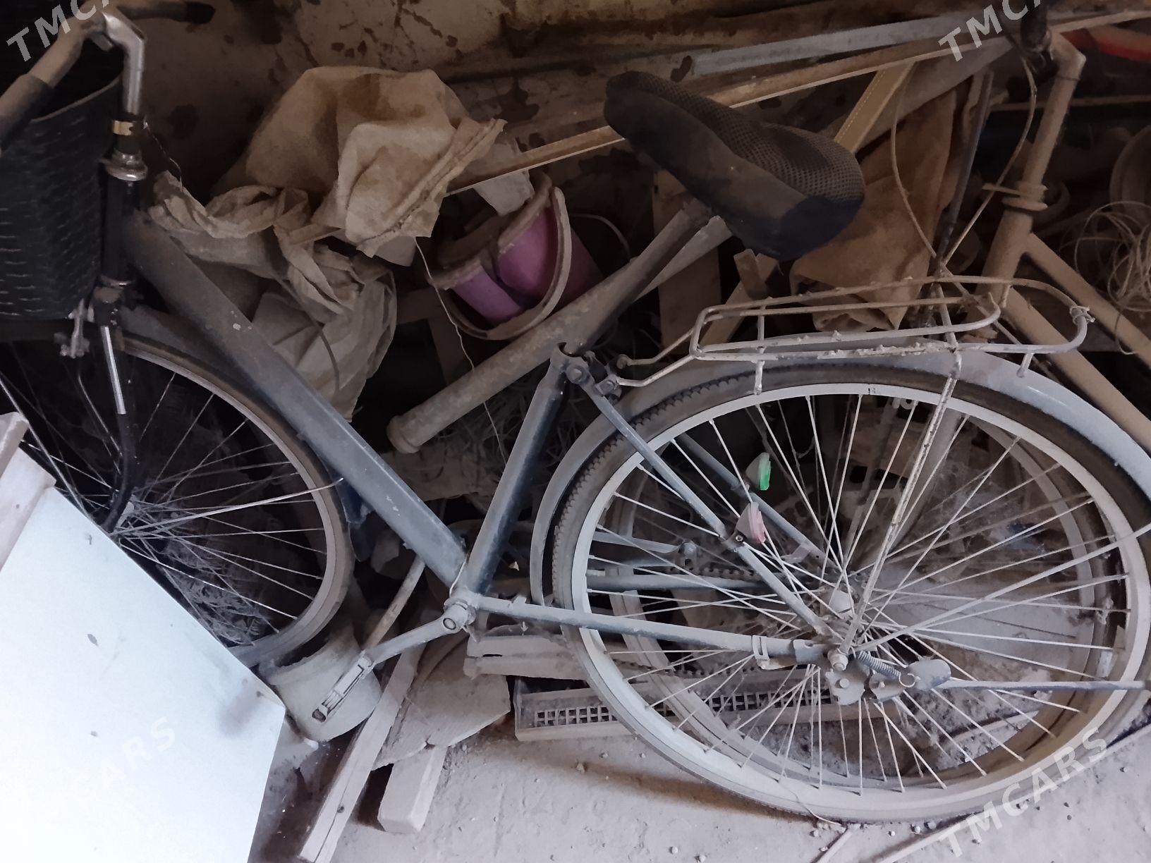 Sport Welsepit - Мары - img 3