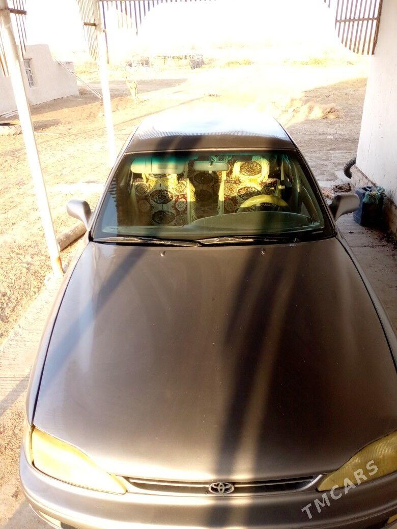 Toyota Camry 1995 - 84 000 TMT - Türkmenbaşy etr. - img 4