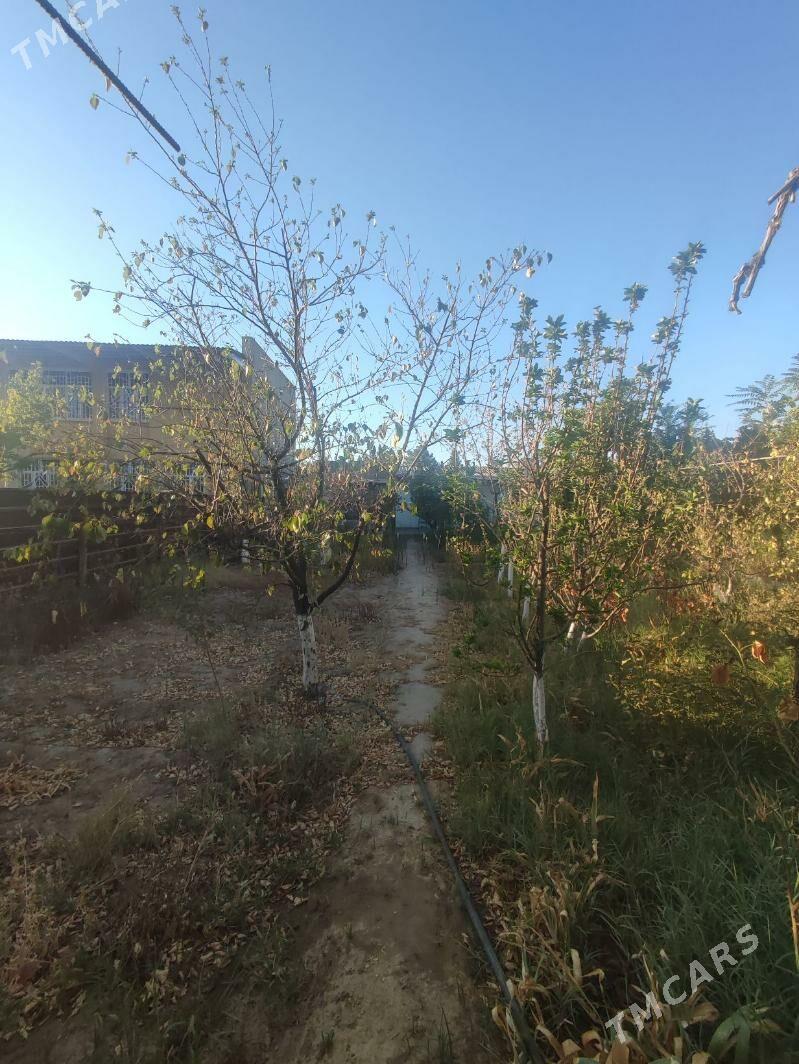 Дача в Саглык - Aşgabat - img 3