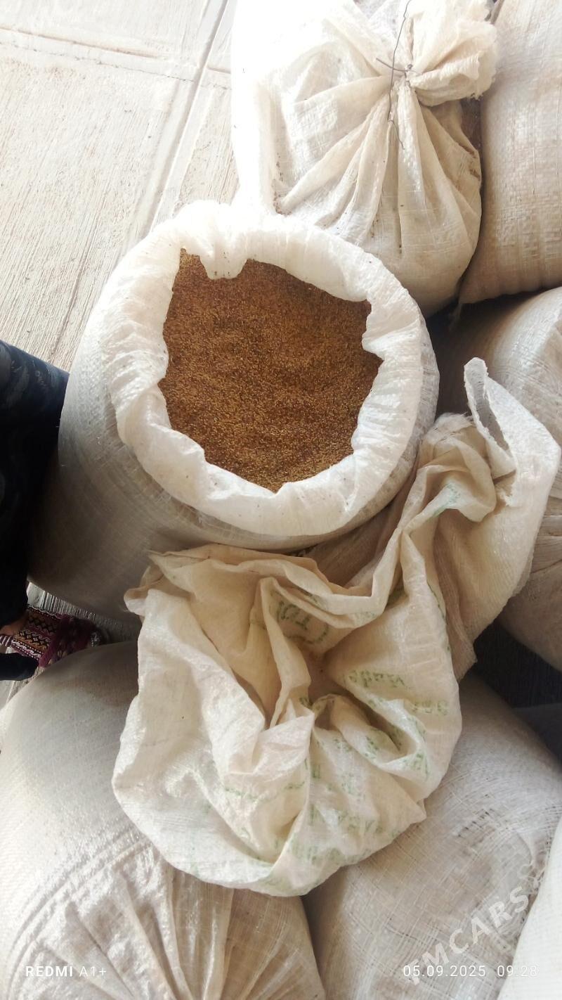 Ÿorunja tohum - Tejen - img 2