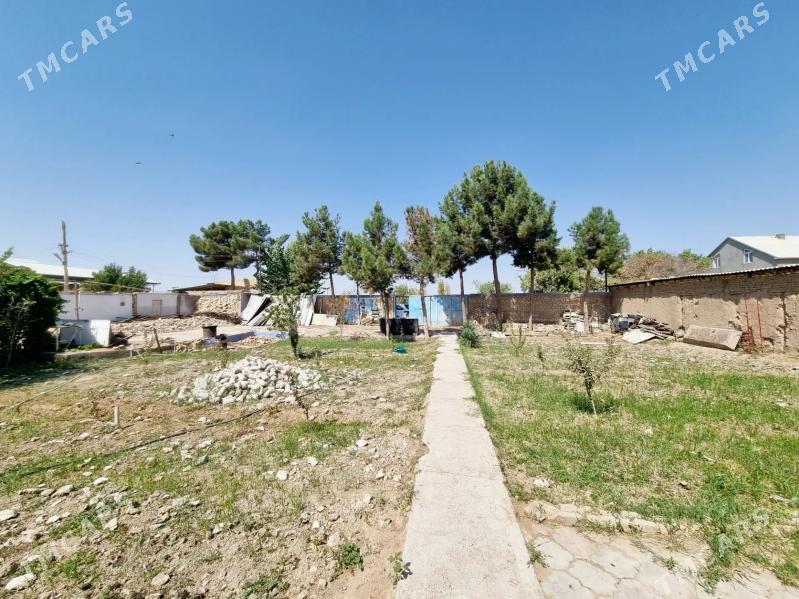 howly 3 yyl garaşykly - Mary - img 5