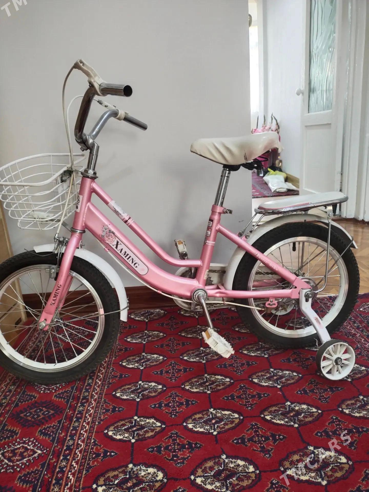 Çaga tigir - Aşgabat - img 2