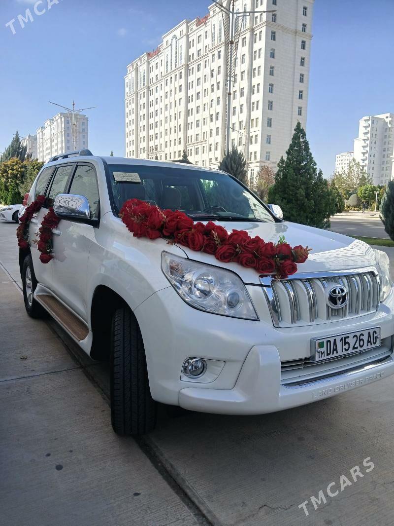 Masyn bezegleri - 14 этап - Элитки (Улица Совхозная) - img 6