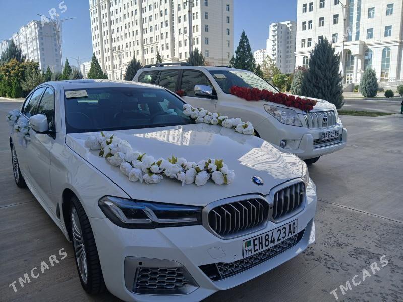 Masyn bezegleri - 14 этап - Элитки (Улица Совхозная) - img 5