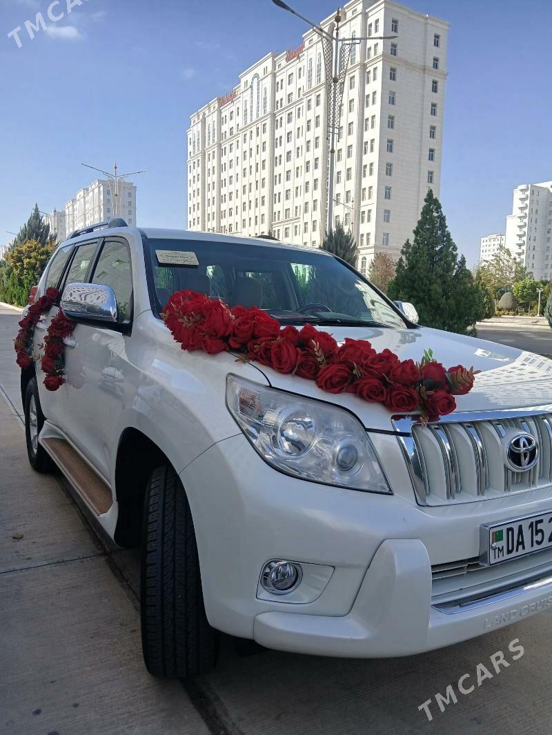 Masyn bezegleri - 14 этап - Элитки (Улица Совхозная) - img 3