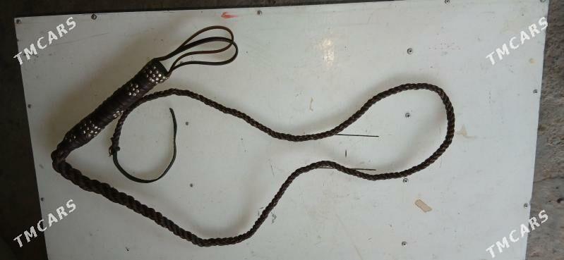 Гамчи Ат - Ашхабад - img 2