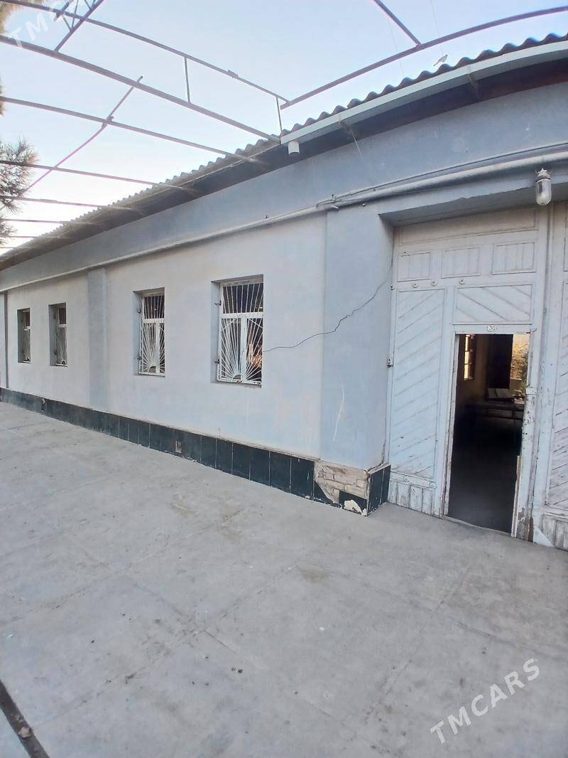 Howly  jaý - Türkmenabat - img 7