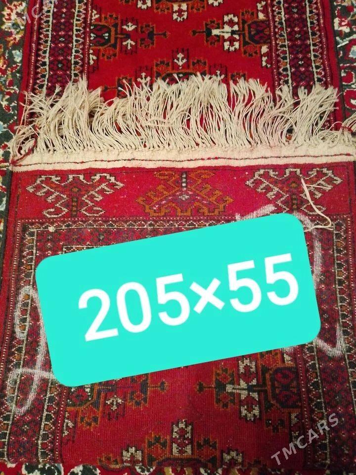 Halycalar - Балканабат - img 1