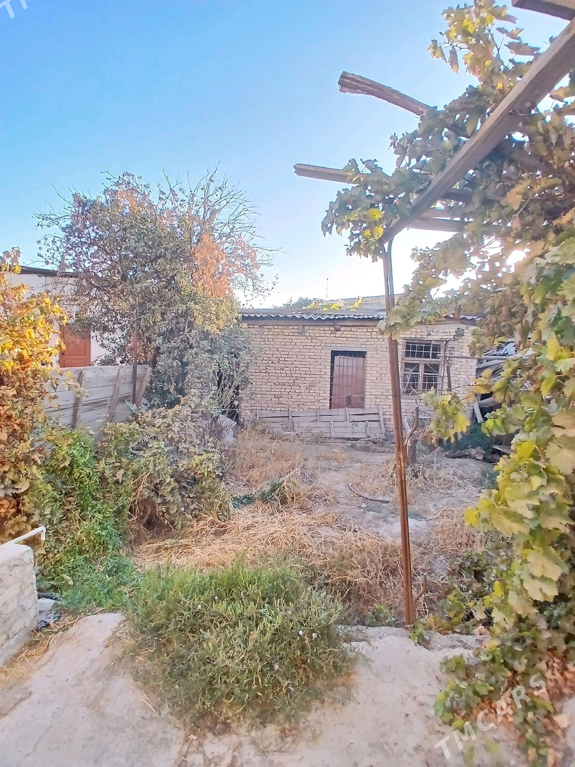 Howly  jaý - Türkmenabat - img 9