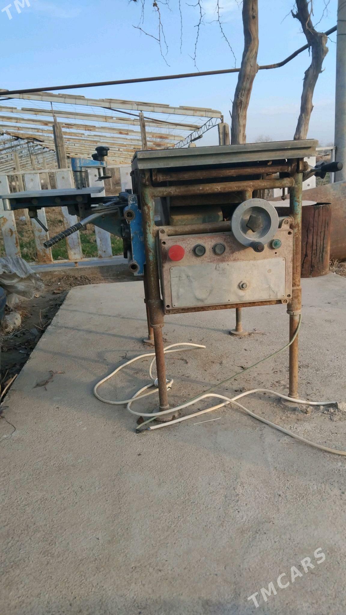 agac kesyan stanok - Kaka - img 4