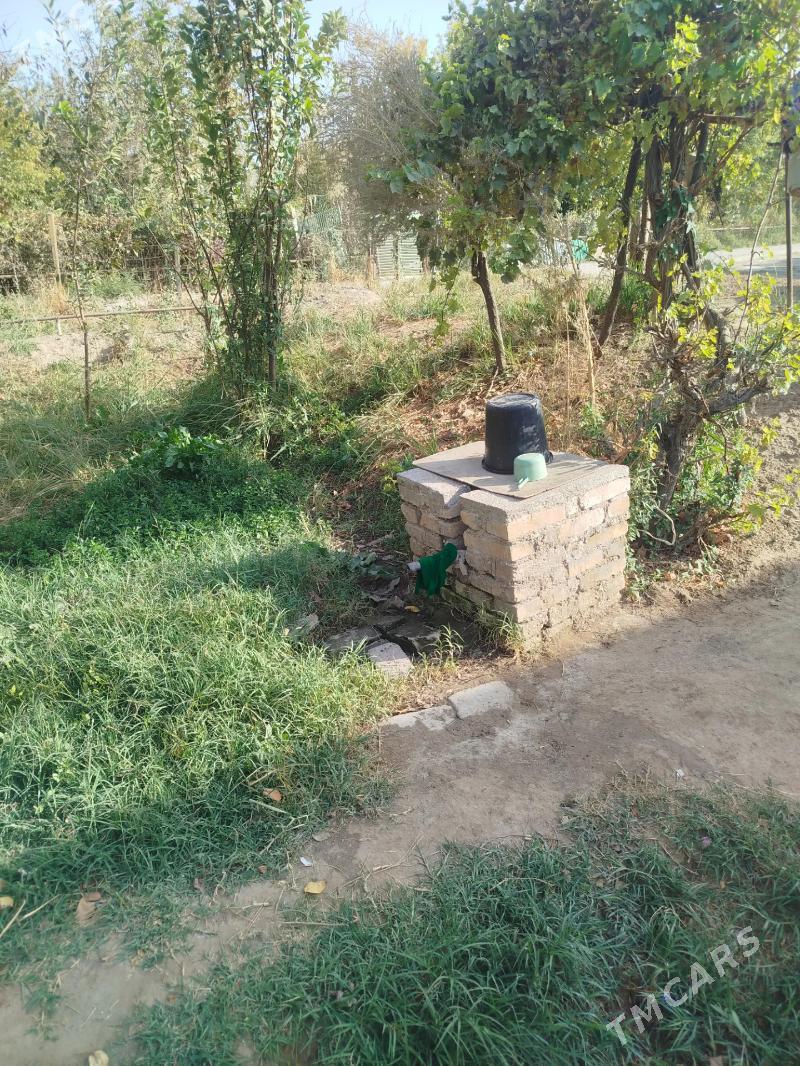 продаю дачу - Türkmenabat - img 4