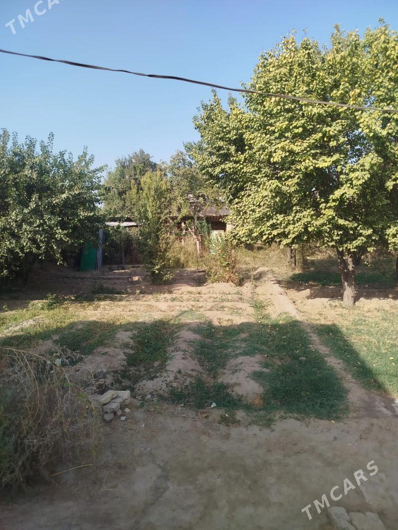 продаю дачу - Türkmenabat - img 3