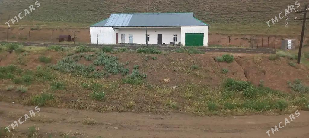 plan jay - Magtymguly - img 3