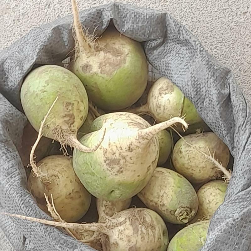 käşir turup - Ашхабад - img 2